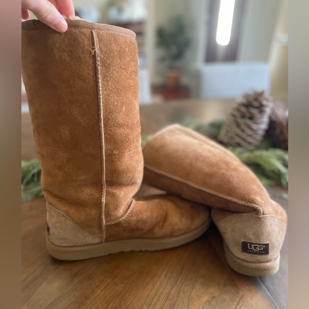 Tall Chestnut Uggs